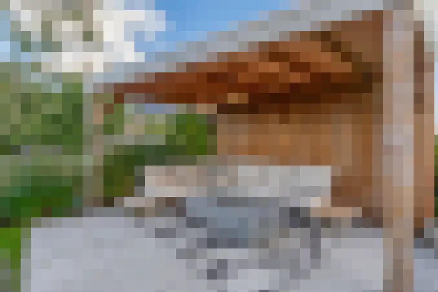 Pijlkruid 20 Meerstad thumbnail 30