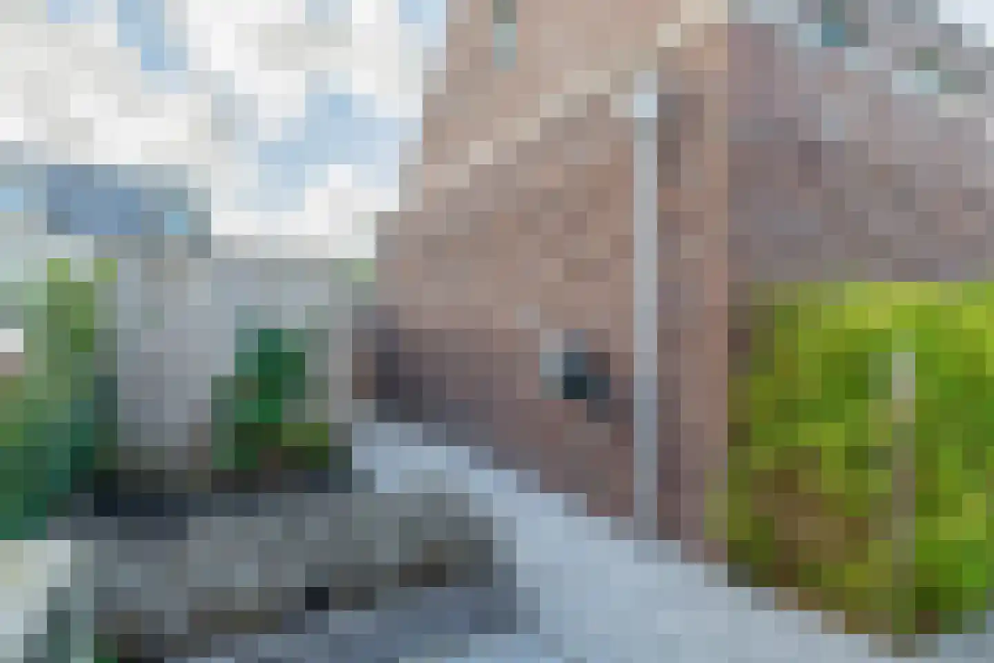 Pijlkruid 20 Meerstad thumbnail 31