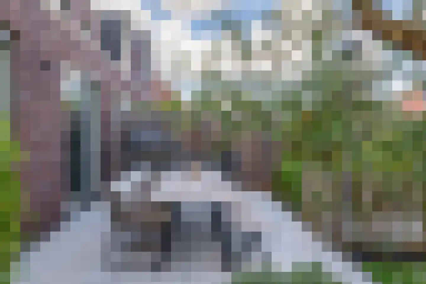 Pijlkruid 20 Meerstad thumbnail 33