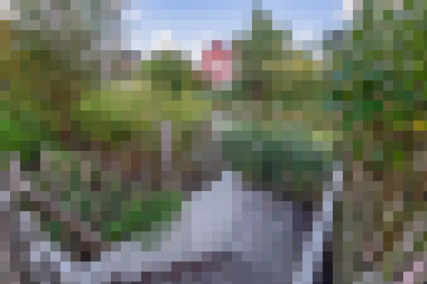 Pijlkruid 20 Meerstad thumbnail 34