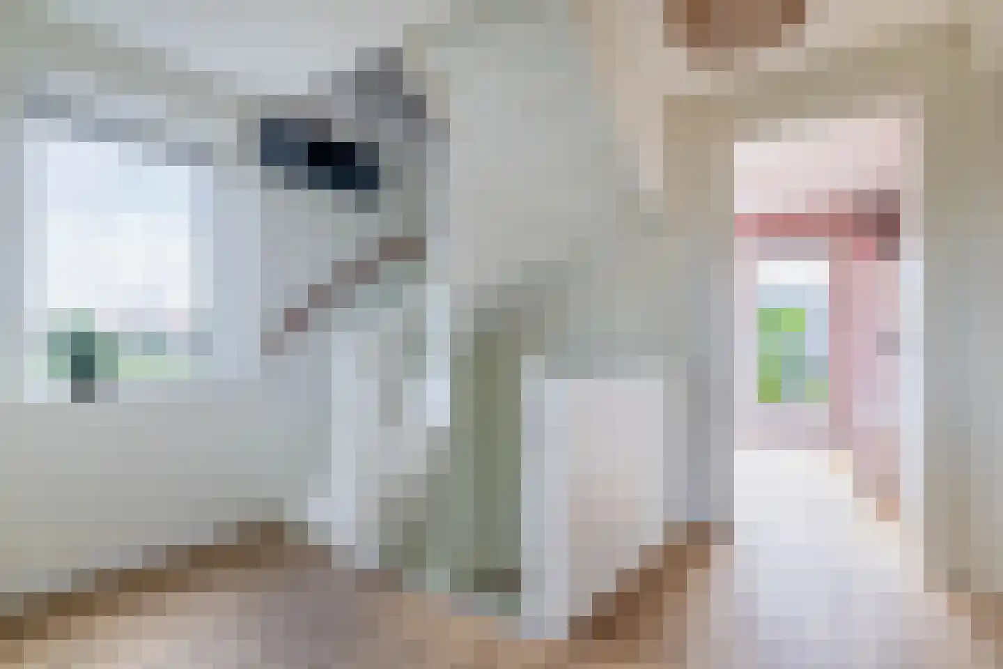 Pijlkruid 20 Meerstad thumbnail 35