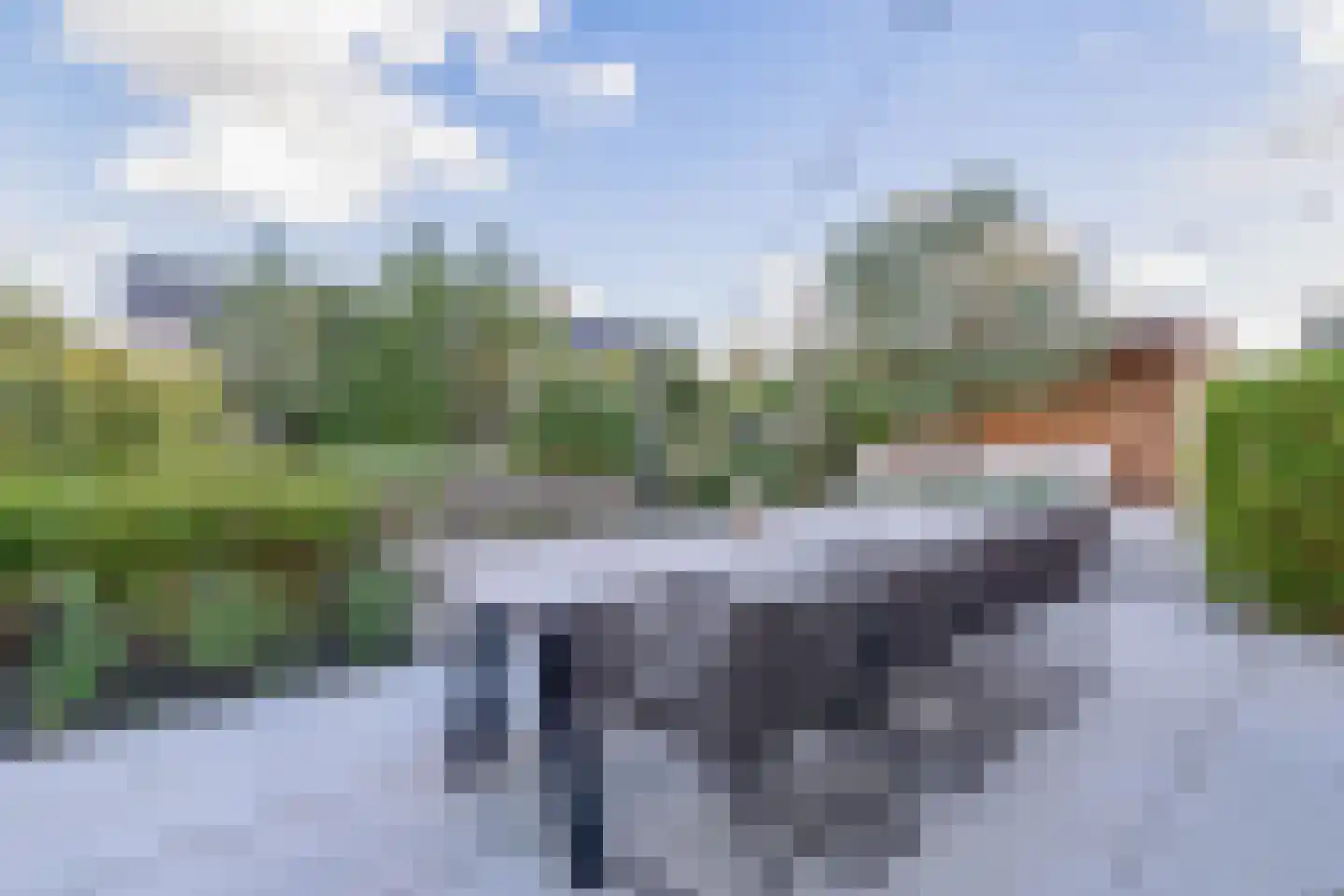Pijlkruid 20 Meerstad thumbnail 4