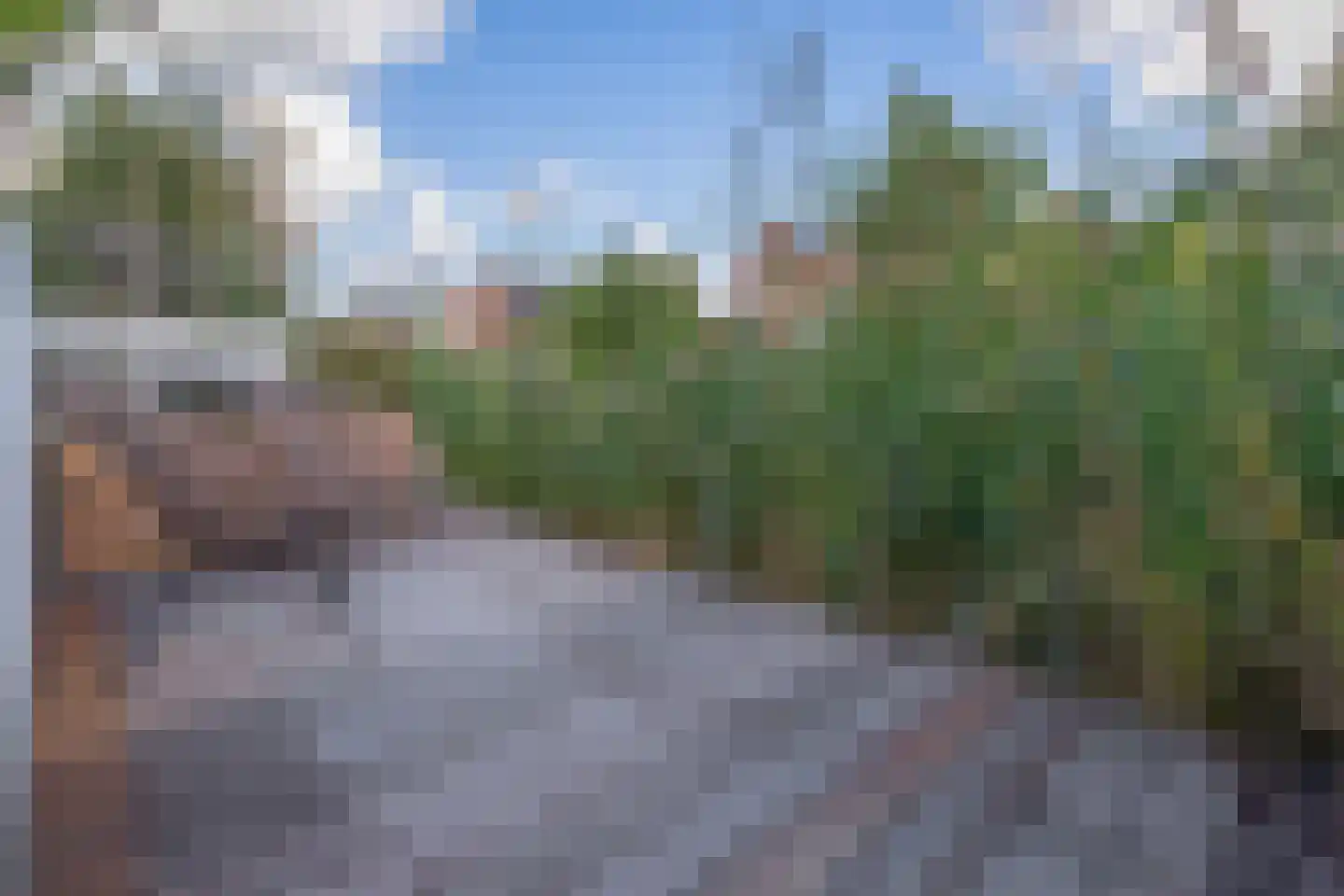 Pijlkruid 20 Meerstad thumbnail 5