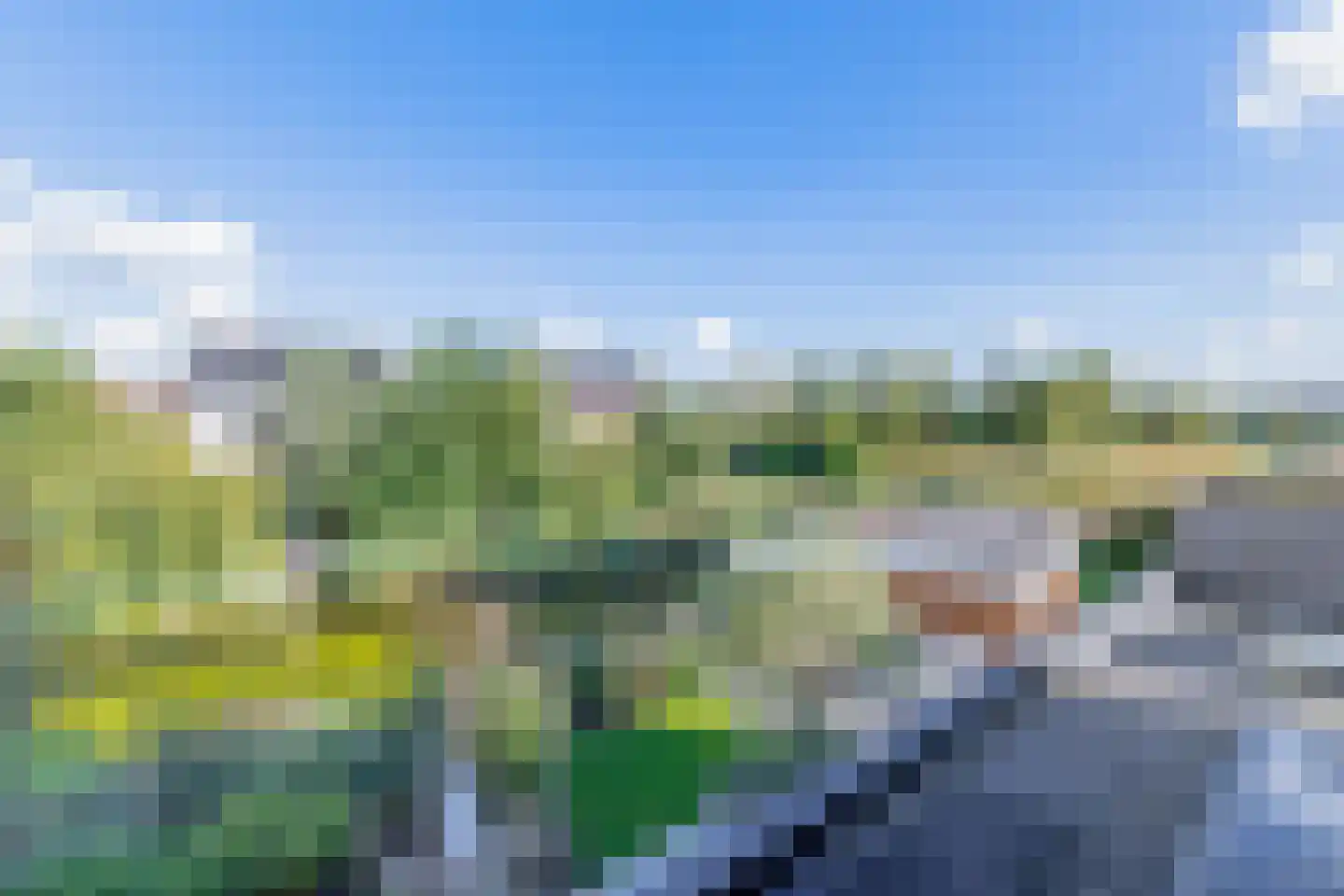 Pijlkruid 20 Meerstad thumbnail 55
