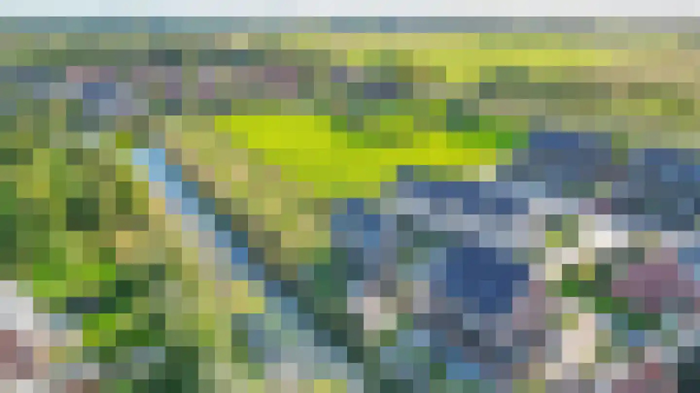 Pijlkruid 20 Meerstad thumbnail 61