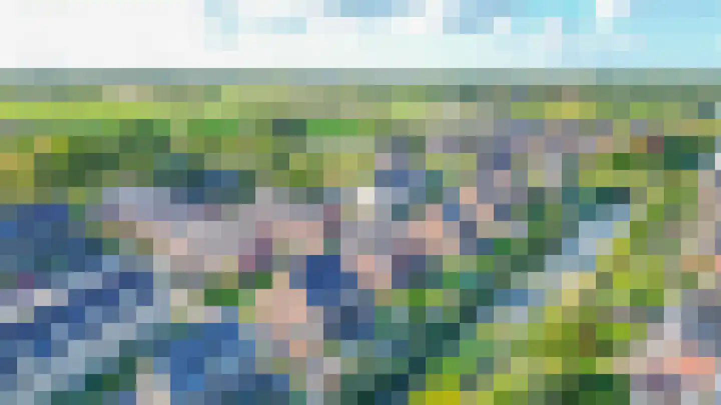Pijlkruid 20 Meerstad thumbnail 64