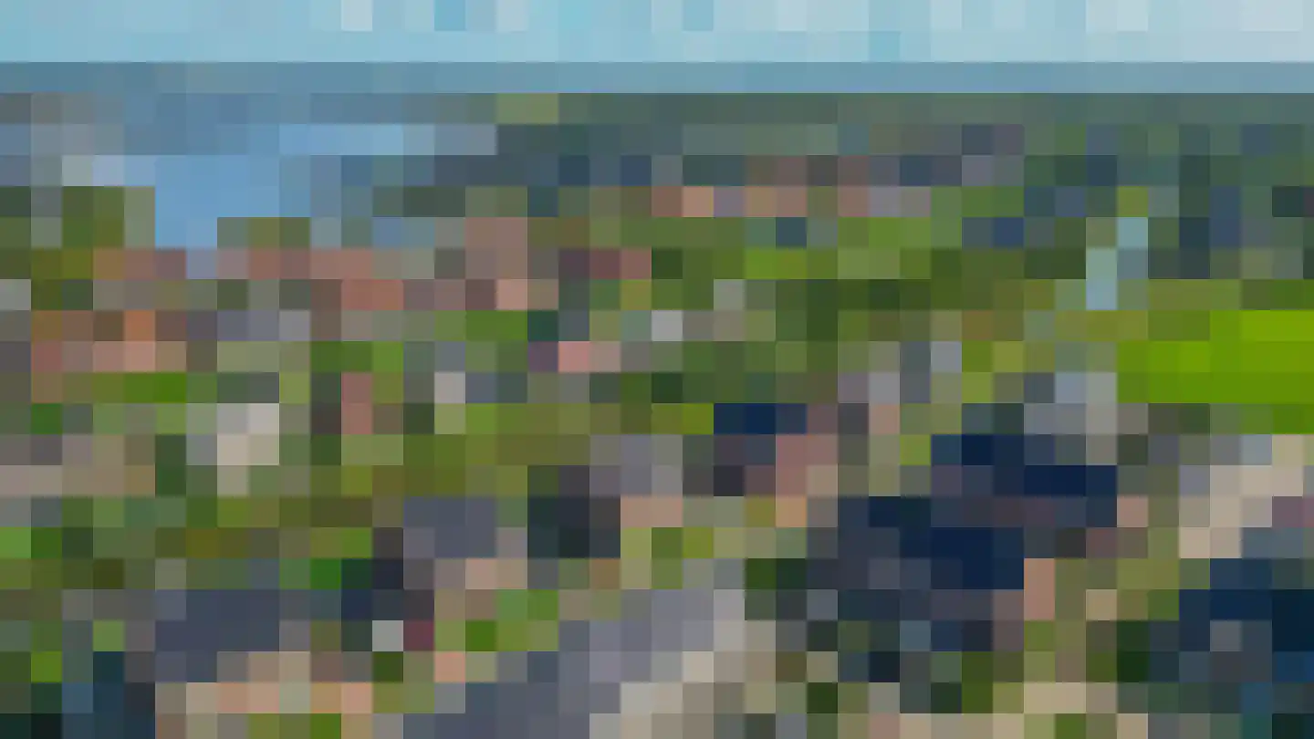 Pijlkruid 20 Meerstad thumbnail 65