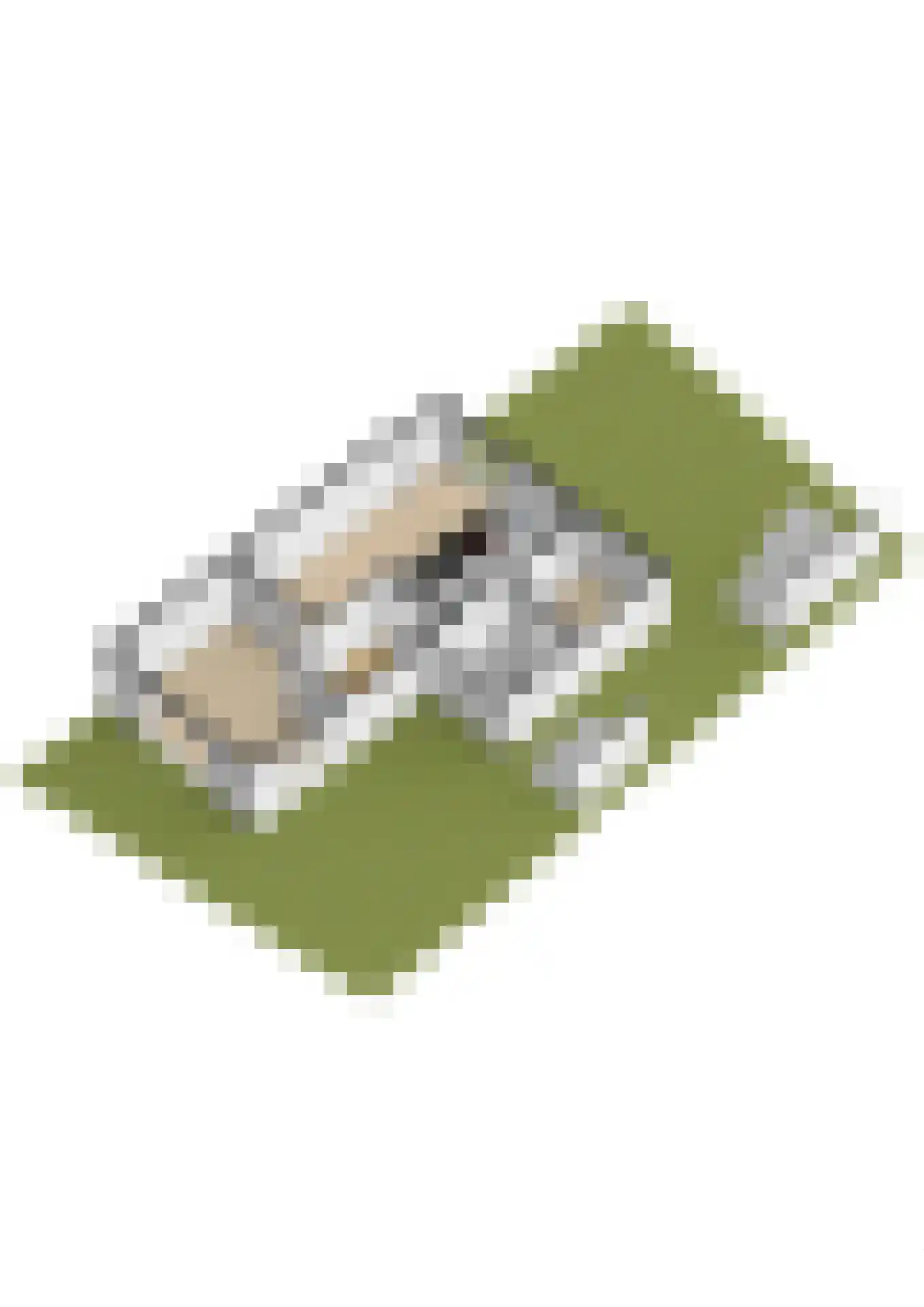 Pijlkruid 20 Meerstad thumbnail 76