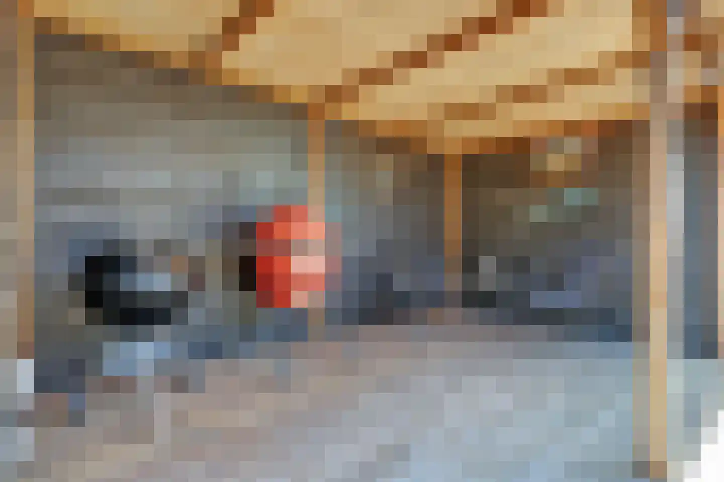 Pijlkruid 23 Bovenkarspel thumbnail 23
