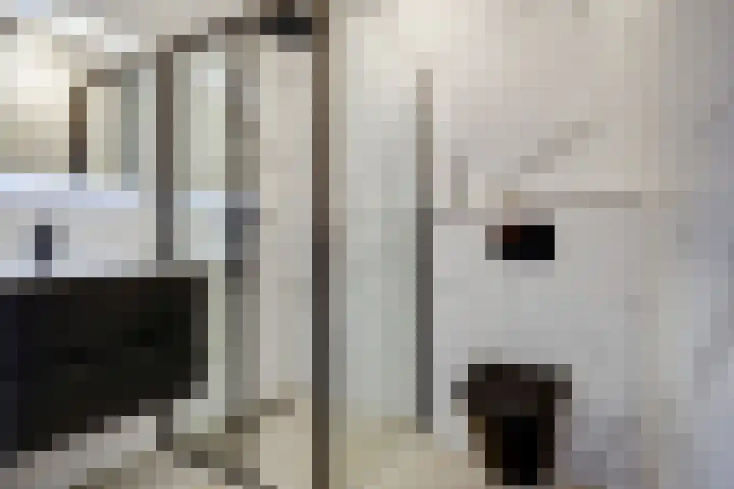 Pijlkruid 23 Bovenkarspel thumbnail 40