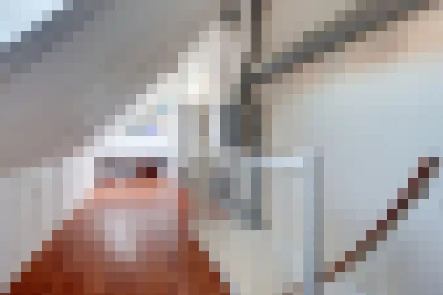 Pijlkruid 23 Bovenkarspel thumbnail 43