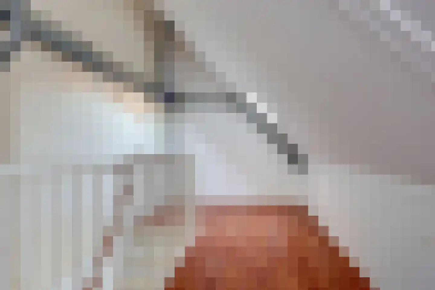 Pijlkruid 23 Bovenkarspel thumbnail 45