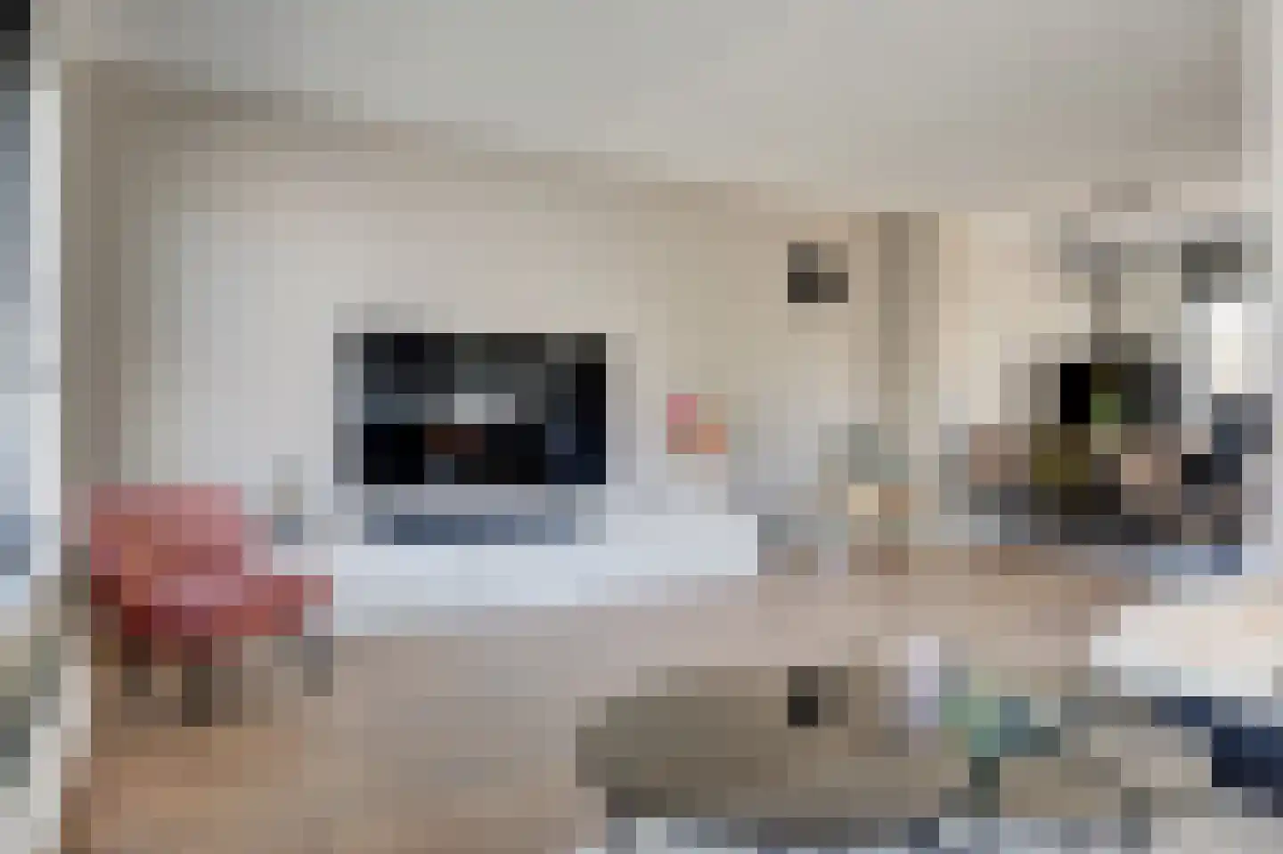 Pijlkruid 23 Bovenkarspel thumbnail 9