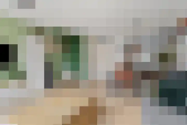 Pijlkruid 24 Zwolle thumbnail 10
