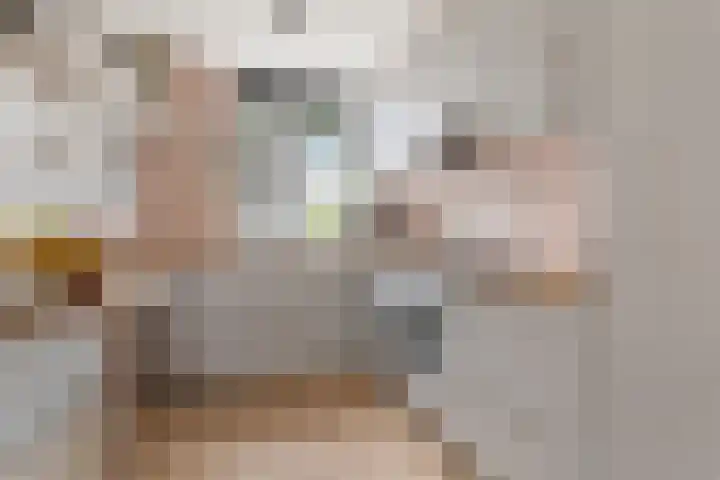 Pijlkruid 24 Zwolle thumbnail 12