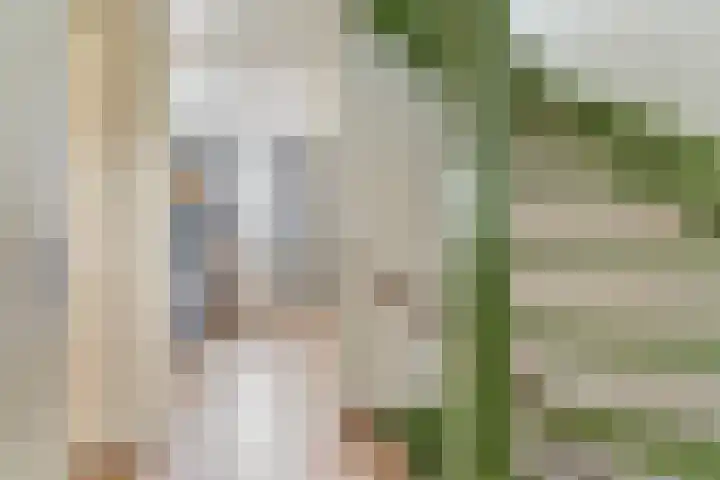 Pijlkruid 24 Zwolle thumbnail 15