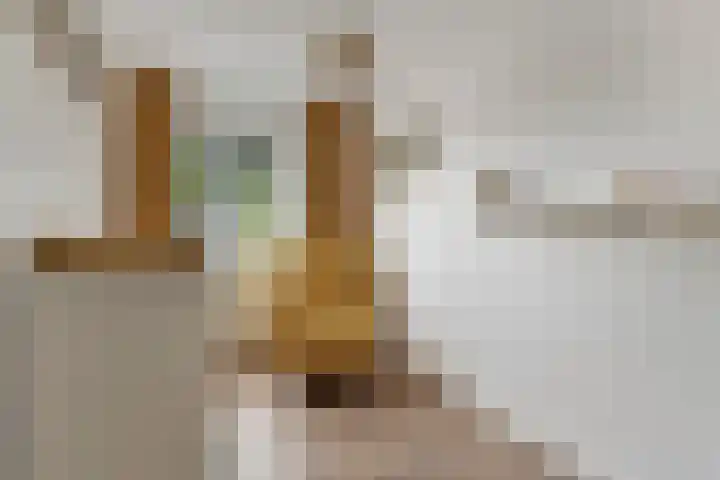 Pijlkruid 24 Zwolle thumbnail 22
