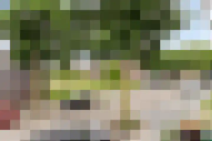 Pijlkruid 24 Zwolle thumbnail 24