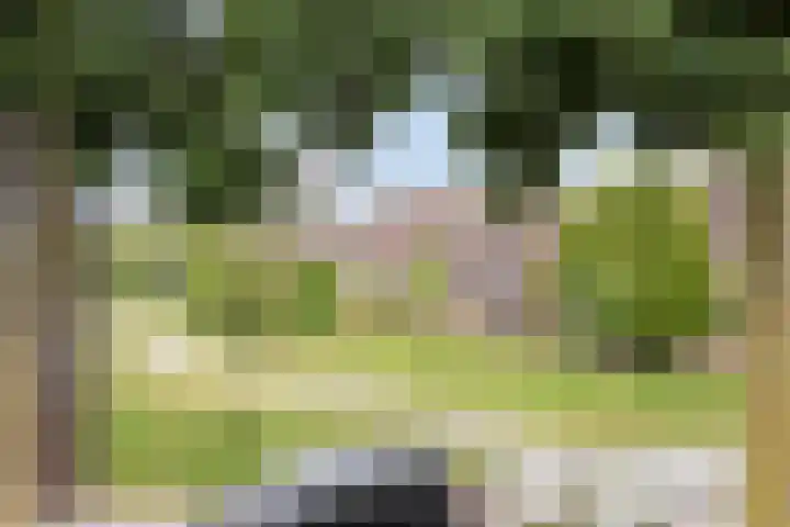 Pijlkruid 24 Zwolle thumbnail 25