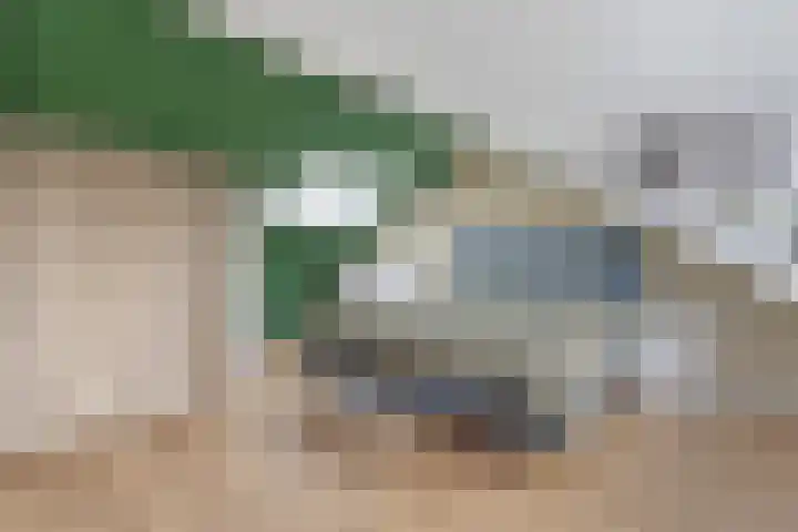 Pijlkruid 24 Zwolle thumbnail 26