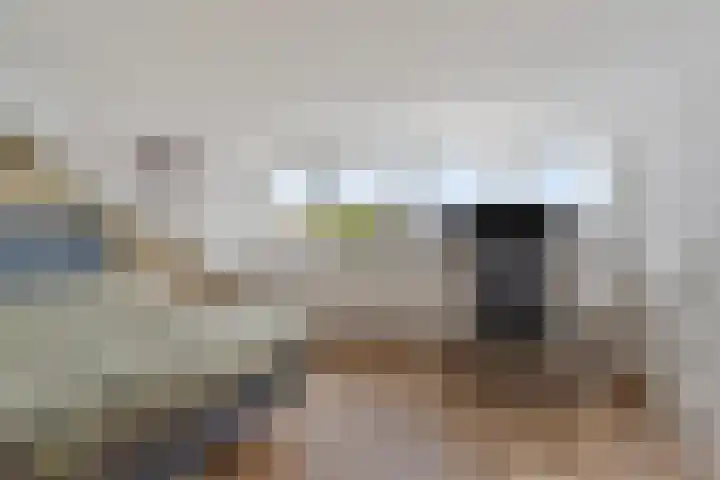 Pijlkruid 24 Zwolle thumbnail 28