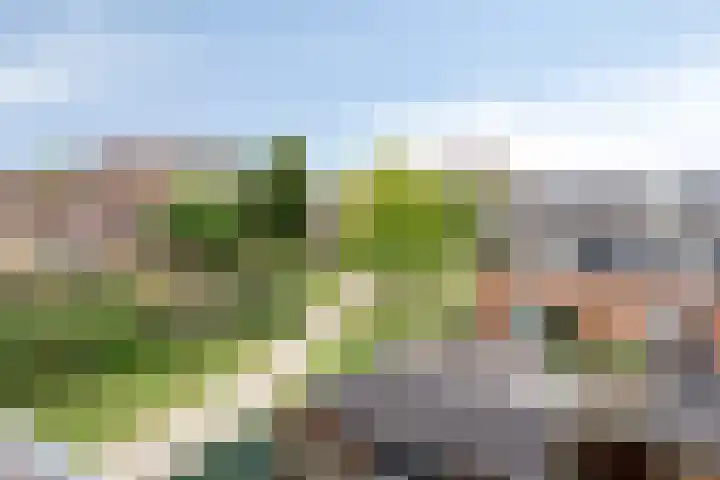Pijlkruid 24 Zwolle thumbnail 29