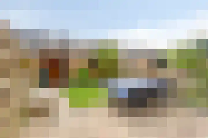 Pijlkruid 24 Zwolle thumbnail 30