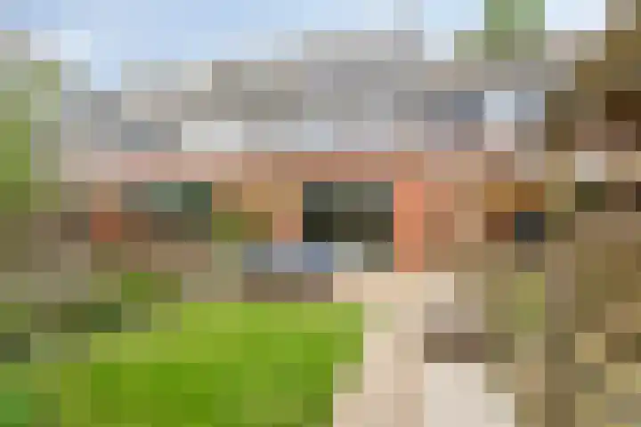 Pijlkruid 24 Zwolle thumbnail 31