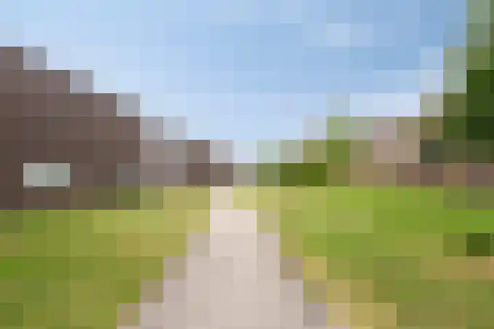 Pijlkruid 24 Zwolle thumbnail 32