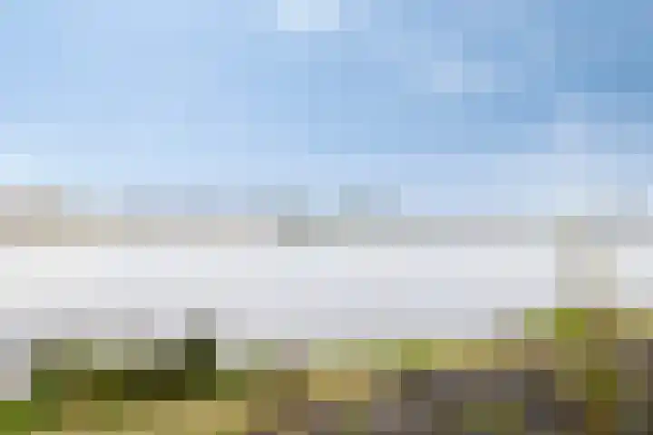 Pijlkruid 24 Zwolle thumbnail 33