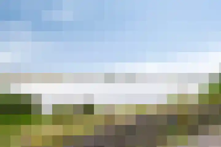 Pijlkruid 24 Zwolle thumbnail 34