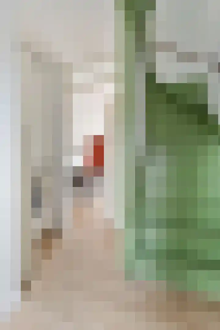 Pijlkruid 24 Zwolle thumbnail 4