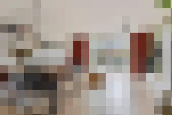 Pijlkruid 24 Zwolle thumbnail 6