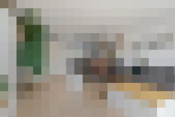 Pijlkruid 24 Zwolle thumbnail 9