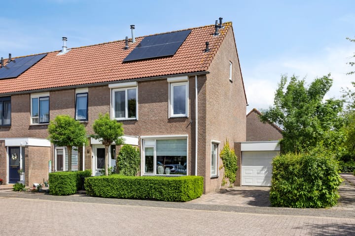 Pijlkruid 26 in Kampen Foto