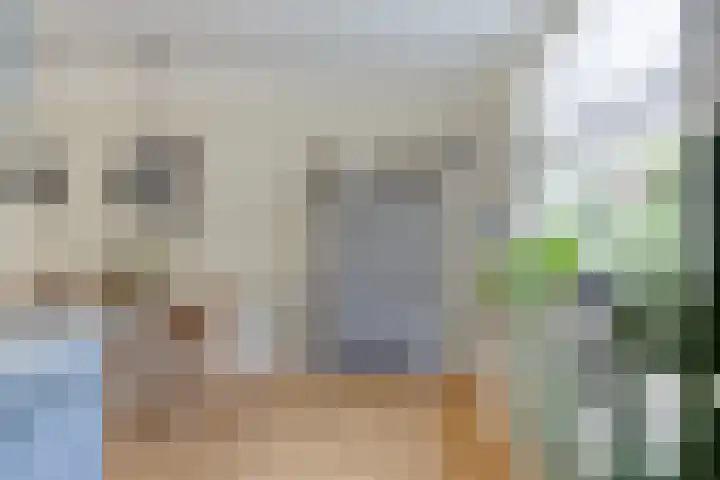 Pijlkruid 26 Kampen thumbnail 11