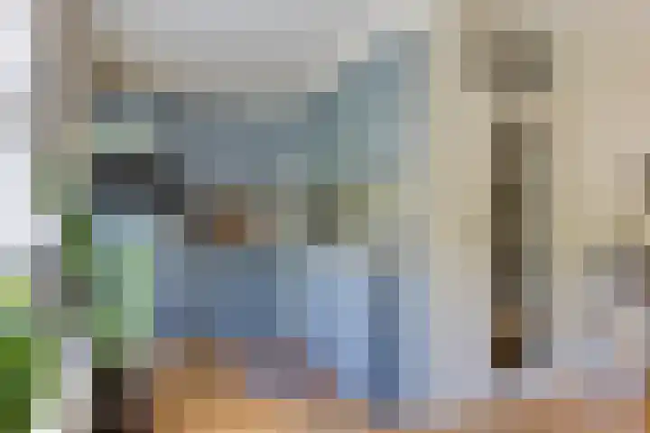 Pijlkruid 26 Kampen thumbnail 13