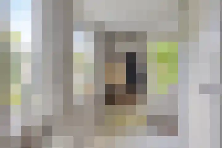 Pijlkruid 26 Kampen thumbnail 15
