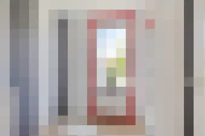 Pijlkruid 26 Kampen thumbnail 22