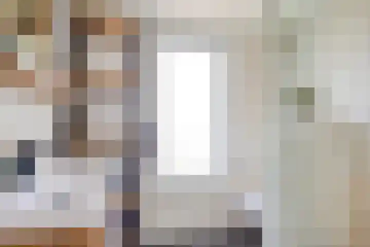 Pijlkruid 26 Kampen thumbnail 23