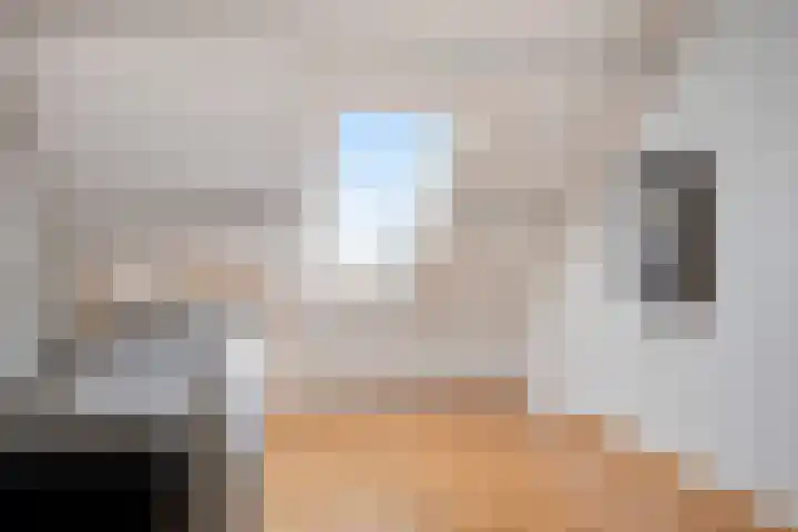 Pijlkruid 26 Kampen thumbnail 26
