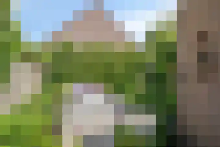 Pijlkruid 26 Kampen thumbnail 29
