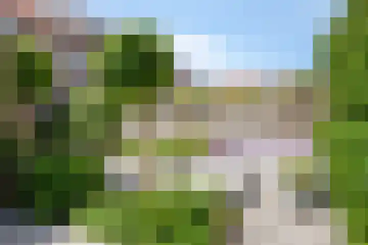 Pijlkruid 26 Kampen thumbnail 30