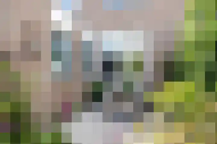 Pijlkruid 26 Kampen thumbnail 33