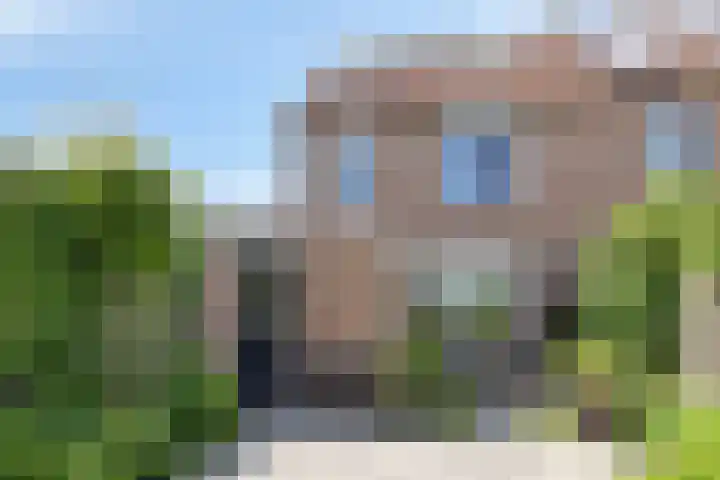 Pijlkruid 26 Kampen thumbnail 34