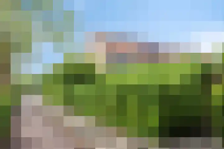 Pijlkruid 26 Kampen thumbnail 36