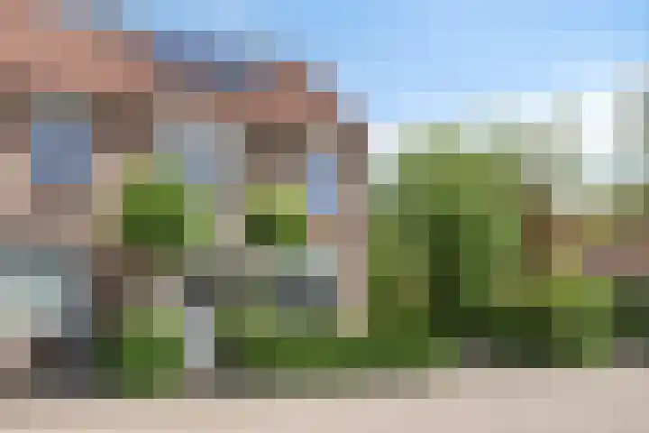 Pijlkruid 26 Kampen thumbnail 37
