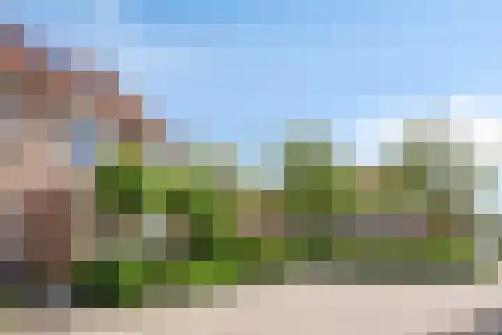 Pijlkruid 26 Kampen thumbnail 38