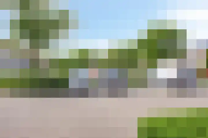 Pijlkruid 26 Kampen thumbnail 39