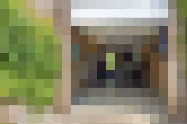 Pijlkruid 26 Kampen thumbnail 4